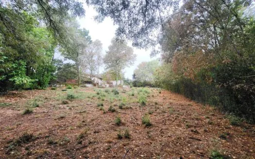 Terrain À vendre